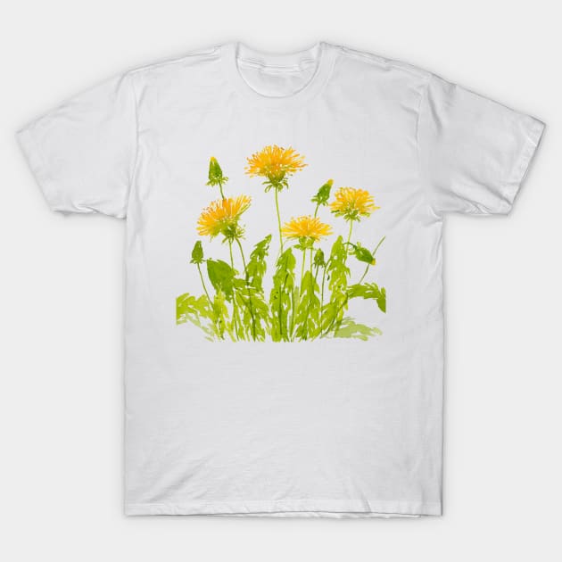 Dandelions T-Shirt by sushhegde